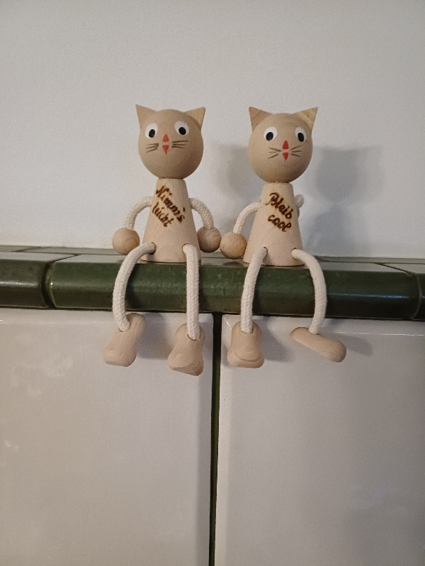 Kantenhocker Katze