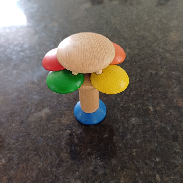 Rassel Sonnenblume Bild 2